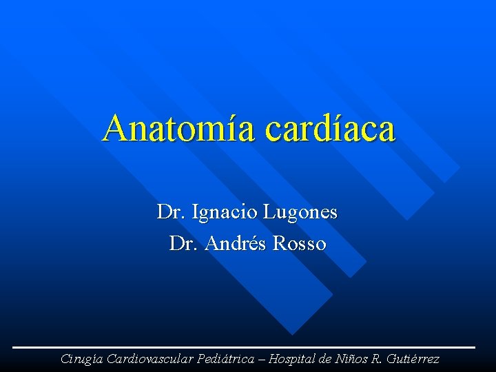 Anatomía cardíaca Dr. Ignacio Lugones Dr. Andrés Rosso Cirugía Cardiovascular Pediátrica – Hospital de