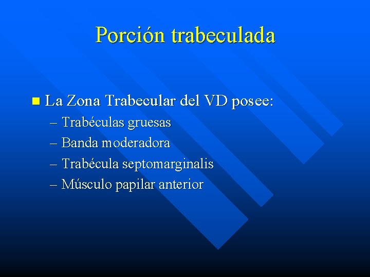 Porción trabeculada n La Zona Trabecular del VD posee: – Trabéculas gruesas – Banda