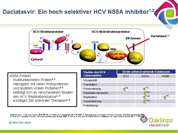 Daclatasvir: Ein hoch selektiver HCV NS 5 A Inhibitor 1, 2 HCV-Strukturproteine HCV-Nichtstrukturproteine Daclatasvir