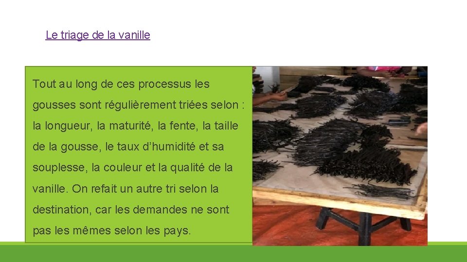 Le triage de la vanille Tout au long de ces processus les gousses sont