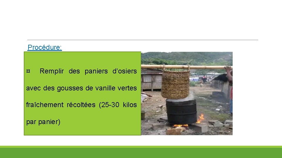 Procédure: ¤ Remplir des paniers d’osiers avec des gousses de vanille vertes fraîchement récoltées