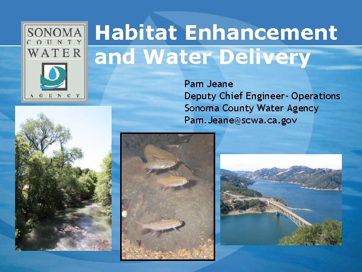 Habitat Enhancement and Water Delivery Pam Jeane Deputy Chief Engineer- Operations Sonoma County Water