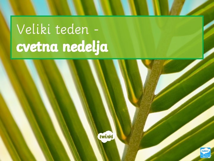 Veliki teden cvetna nedelja 