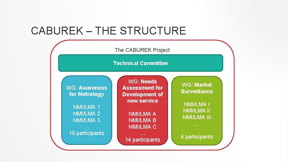 CABUREK – THE STRUCTURE The CABUREK Project Technical Committee WG: Awareness for Metrology NMI/LMA