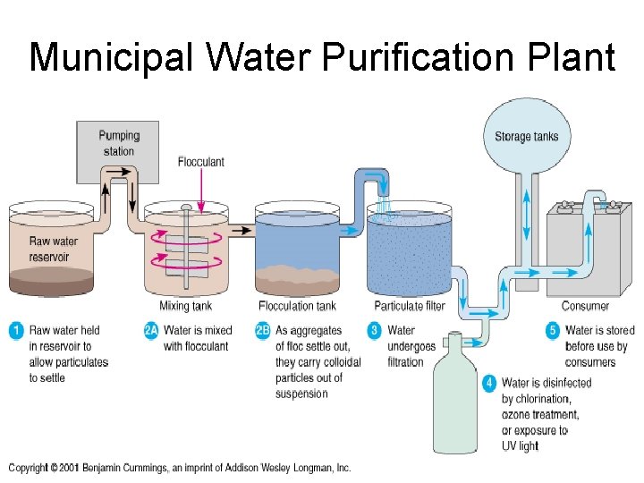 Municipal Water Purification Plant 