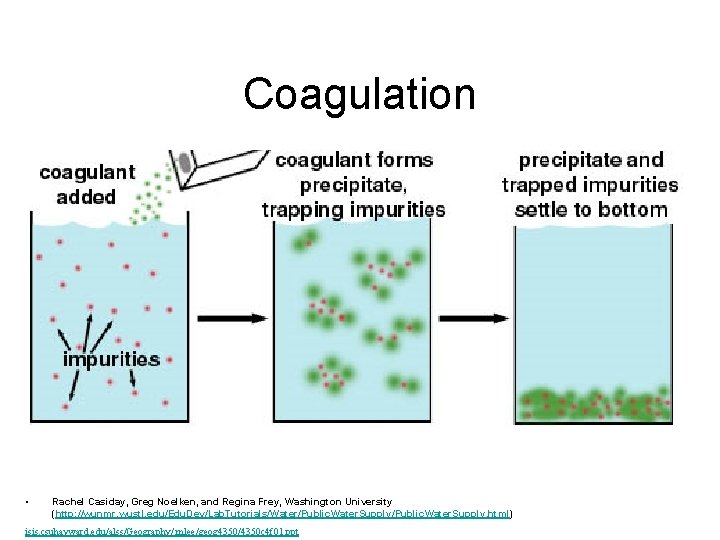 Coagulation • Rachel Casiday, Greg Noelken, and Regina Frey, Washington University (http: //wunmr. wustl.