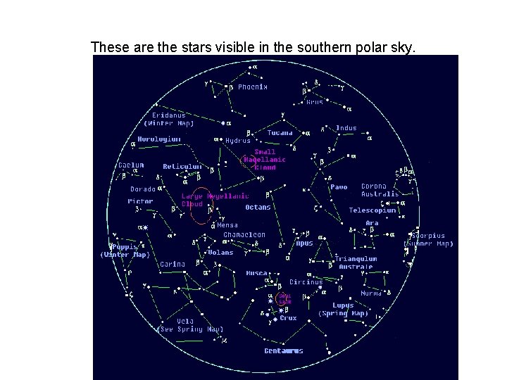 These are the stars visible in the southern polar sky. 