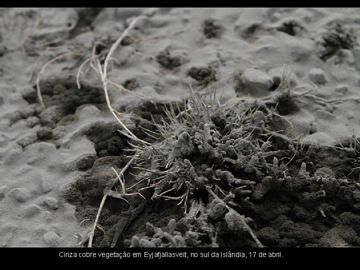 Cinza cobre vegetação em Eyjafjallasveit, no sul da Islândia, 17 de abril. 