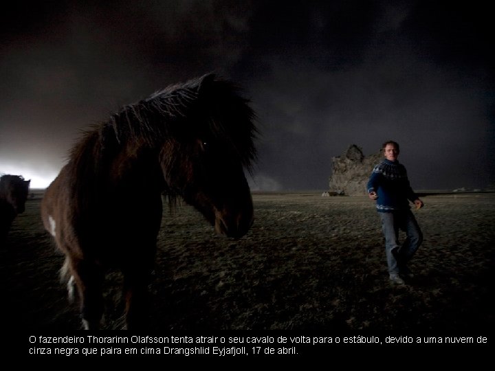 O fazendeiro Thorarinn Olafsson tenta atrair o seu cavalo de volta para o estábulo,