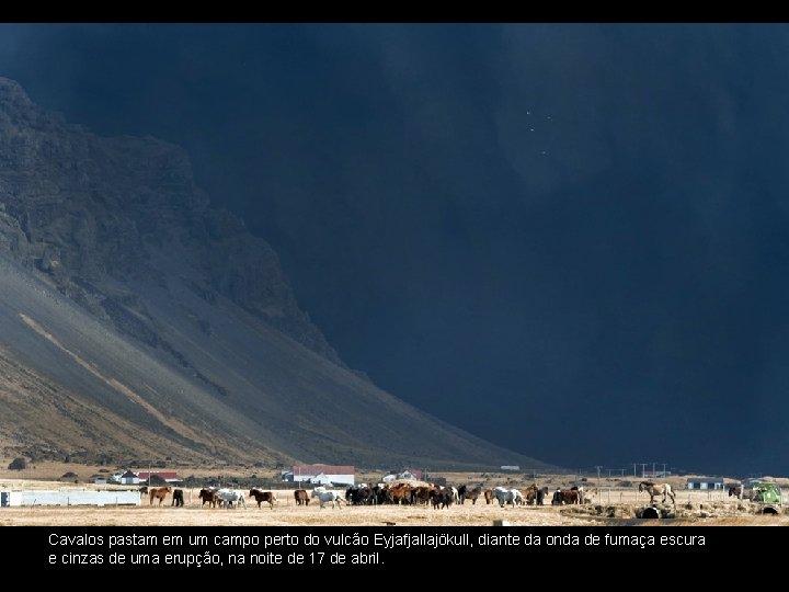 Cavalos pastam em um campo perto do vulcão Eyjafjallajökull, diante da onda de fumaça