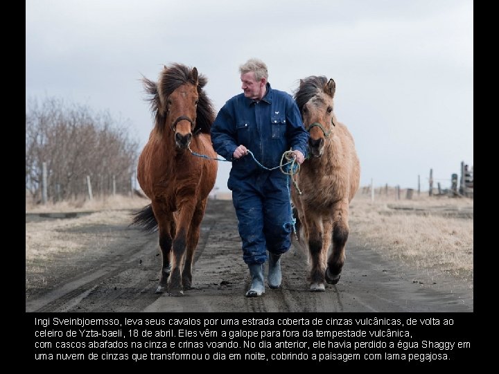 Ingi Sveinbjoernsso, leva seus cavalos por uma estrada coberta de cinzas vulcânicas, de volta