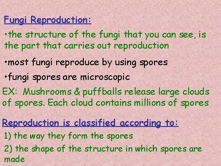 Fungi Reproduction: • the structure of the fungi that you can see, is the