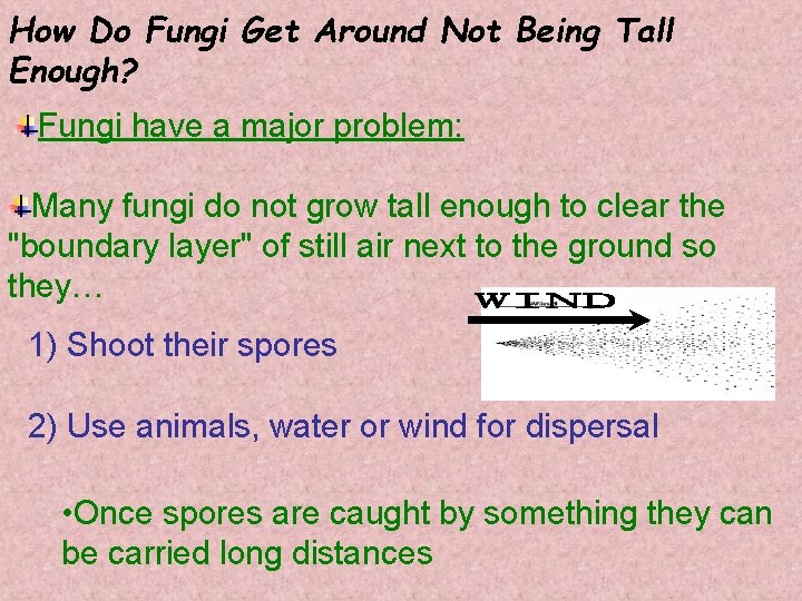 How Do Fungi Get Around Not Being Tall Enough? Fungi have a major problem: