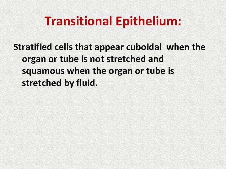 Transitional Epithelium: Stratified cells that appear cuboidal when the organ or tube is not