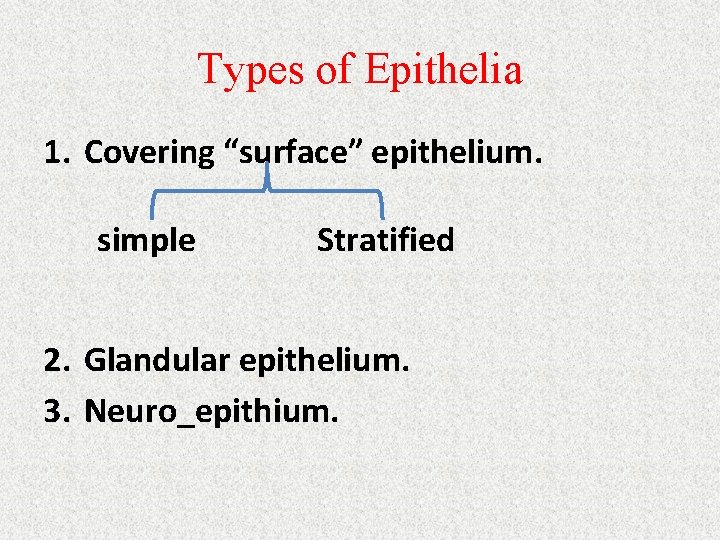 Types of Epithelia 1. Covering “surface” epithelium. simple Stratified 2. Glandular epithelium. 3. Neuro_epithium.