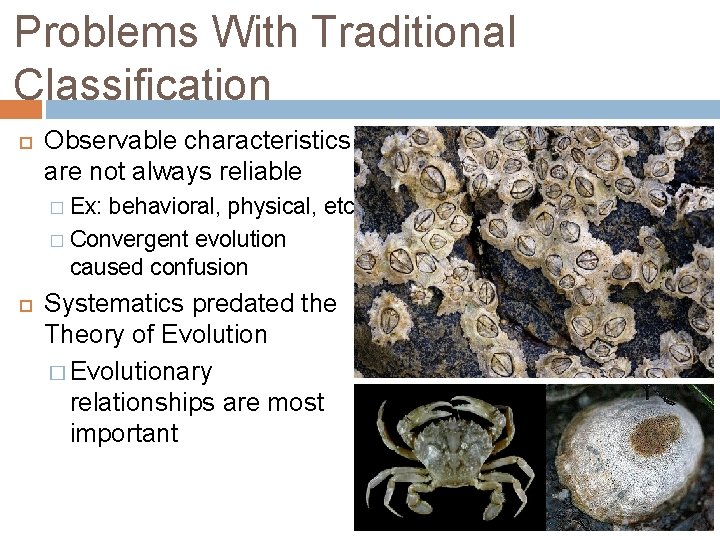 Problems With Traditional Classification Observable characteristics are not always reliable Ex: behavioral, physical, etc.