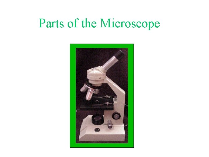 Parts of the Microscope 