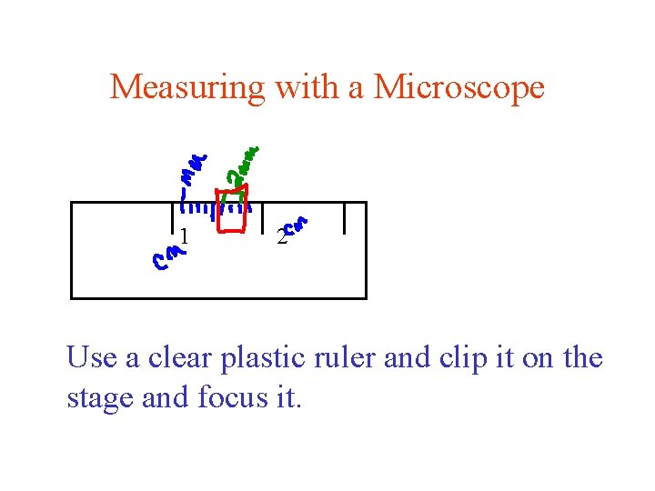 Measuring with a Microscope 1 2 Use a clear plastic ruler and clip it