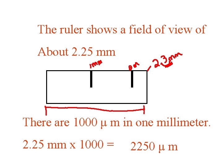 The ruler shows a field of view of About 2. 25 mm There are