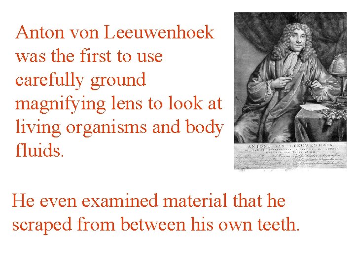 Anton von Leeuwenhoek was the first to use carefully ground magnifying lens to look