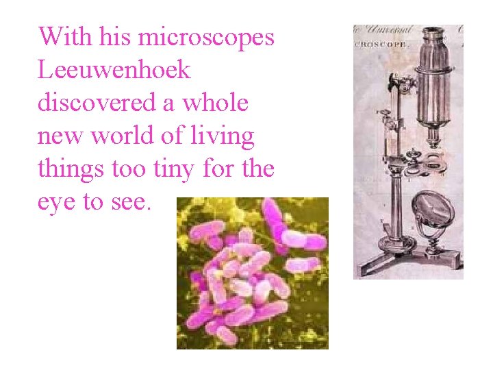 With his microscopes Leeuwenhoek discovered a whole new world of living things too tiny