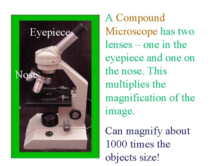 Eyepiece Nose A Compound Microscope has two lenses – one in the eyepiece and