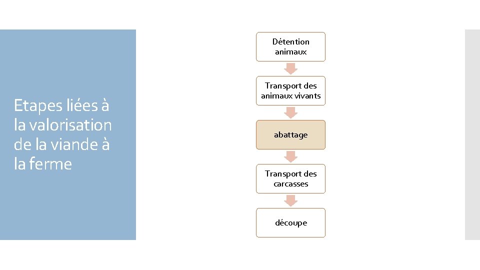 Détention animaux Etapes liées à la valorisation de la viande à la ferme Transport