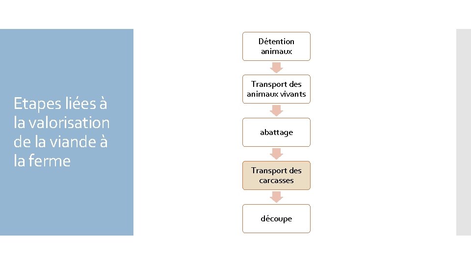 Détention animaux Etapes liées à la valorisation de la viande à la ferme Transport