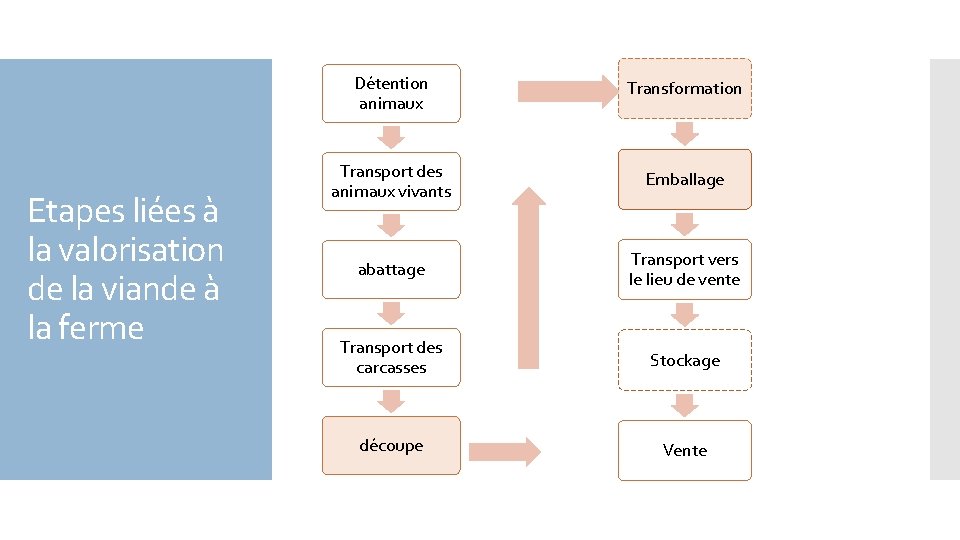 Etapes liées à la valorisation de la viande à la ferme Détention animaux Transformation