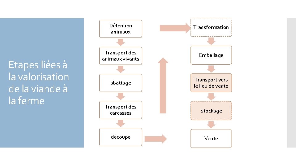 Etapes liées à la valorisation de la viande à la ferme Détention animaux Transformation