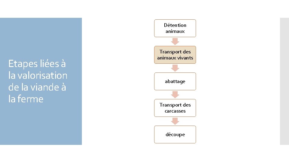 Détention animaux Etapes liées à la valorisation de la viande à la ferme Transport