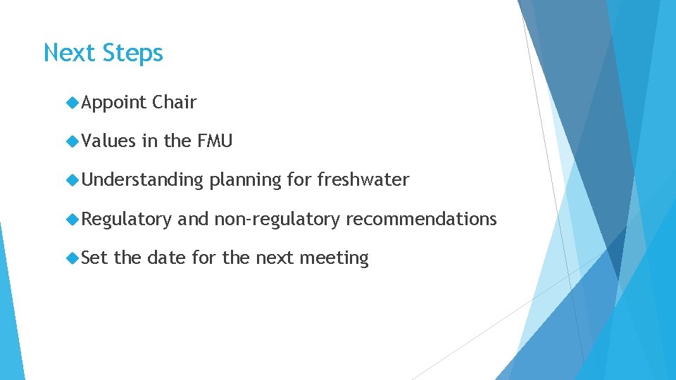 Next Steps Appoint Values Chair in the FMU Understanding Regulatory Set planning for freshwater