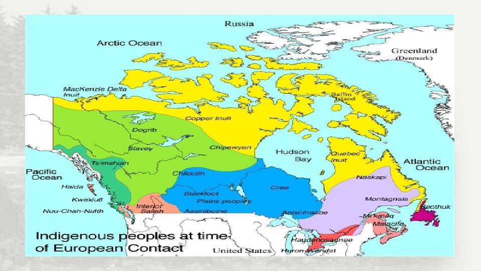 Tribes and Territories of the Indigenous Many Different