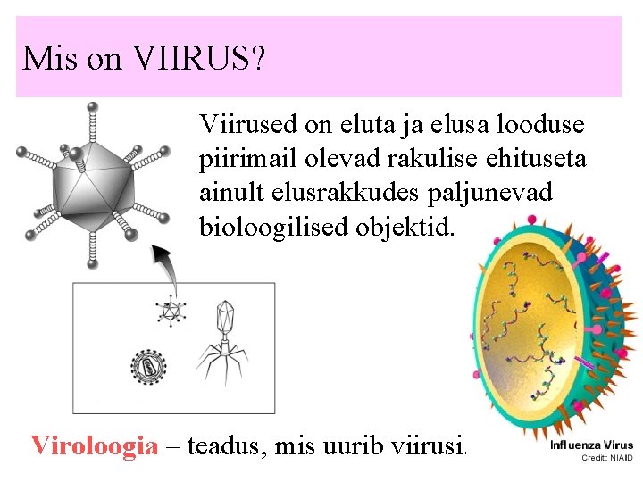 Mis on VIIRUS? Viirused on eluta ja elusa looduse piirimail olevad rakulise ehituseta ainult
