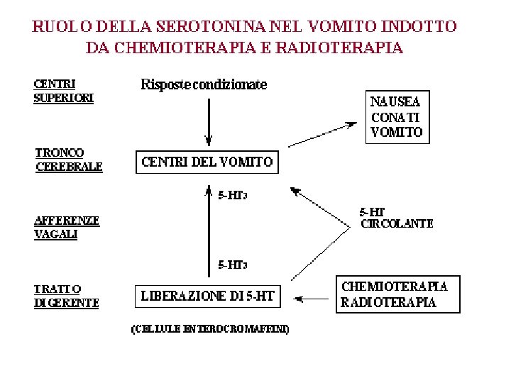  • Figura 5 - Ruolo della serotonina nel vomito indotto da chemioterapia e