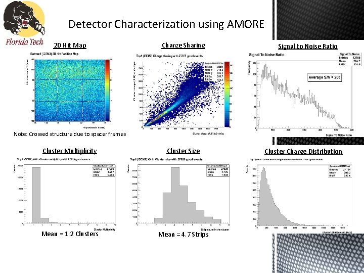 Detector Characterization using AMORE 2 D Hit Map Charge Sharing Signal to Noise Ratio