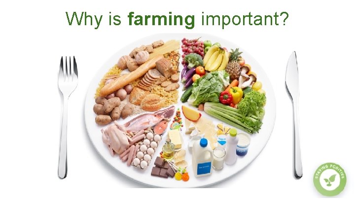 Why is farming important? 