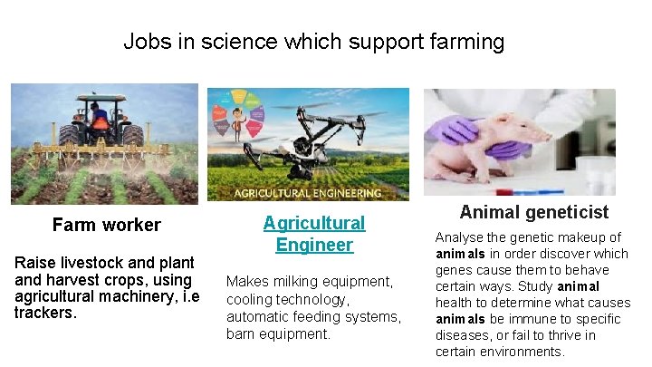 Jobs in science which support farming Farm worker Raise livestock and plant and harvest
