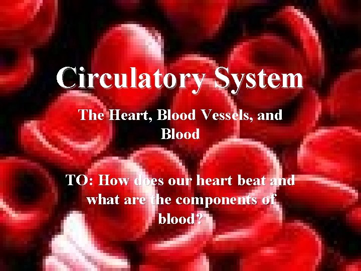 Circulatory System The Heart, Blood Vessels, and Blood TO: How does our heart beat