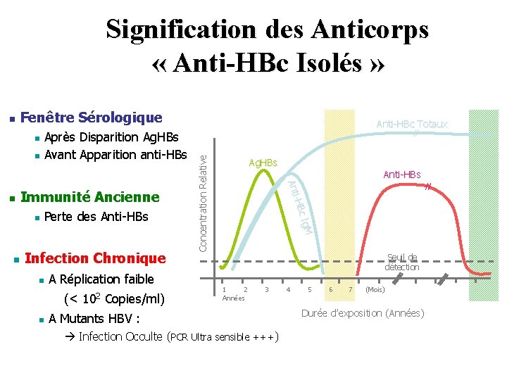 Signification des Anticorps « Anti-HBc Isolés » Fenêtre Sérologique n n Immunité Ancienne n