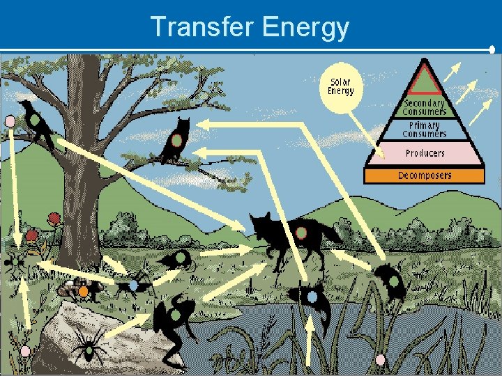 Transfer Energy 