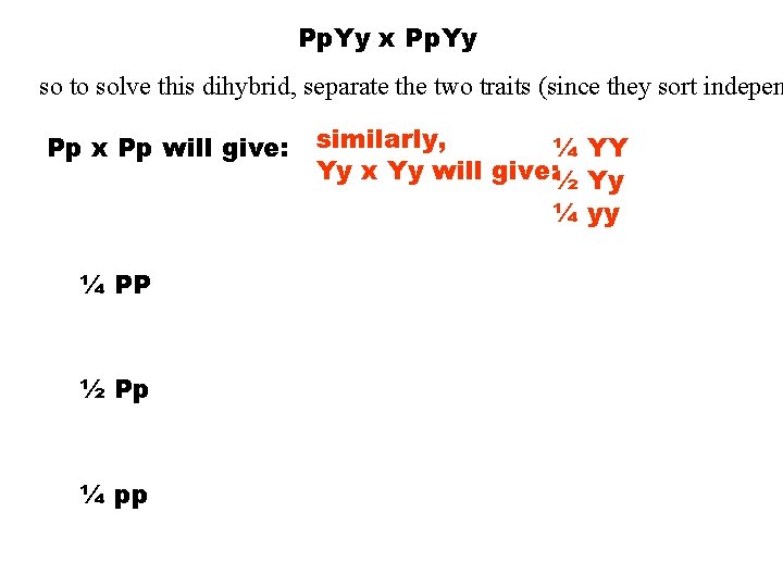 Pp. Yy x Pp. Yy so to solve this dihybrid, separate the two traits