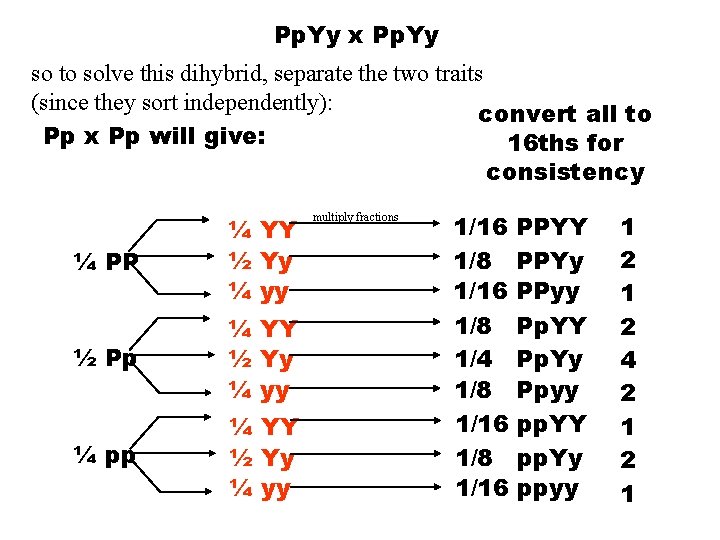 Pp. Yy x Pp. Yy so to solve this dihybrid, separate the two traits