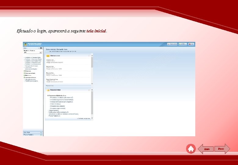 Efetuado o login, aparecerá a seguinte tela inicial. Ante Prox 