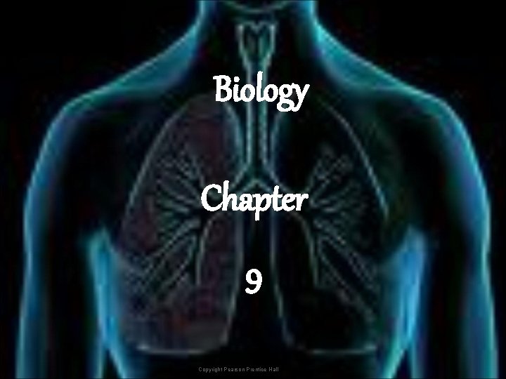 Biology Chapter 9 Copyright Pearson Prentice Hall 