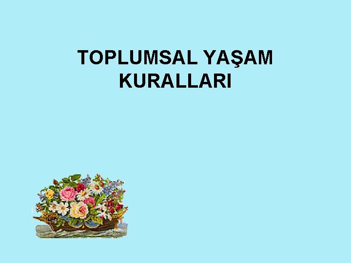 TOPLUMSAL YAŞAM KURALLARI 