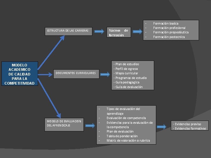 Núcleos de formación ESTRUCTURA DE LAS CARRERAS MODELO ACADEMICO DE CALIDAD PARA LA COMPETITIVIDAD