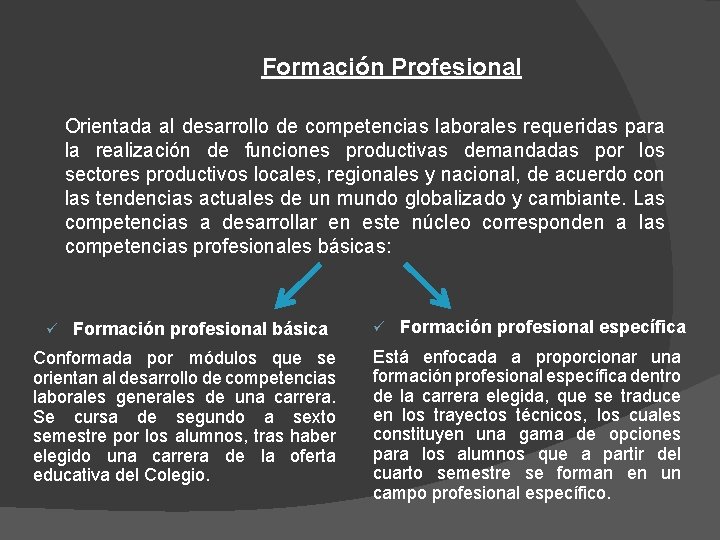 Formación Profesional Orientada al desarrollo de competencias laborales requeridas para la realización de funciones
