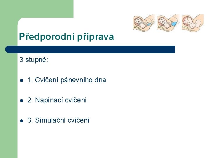 Předporodní příprava 3 stupně: l 1. Cvičení pánevniho dna l 2. Napínací cvičení l