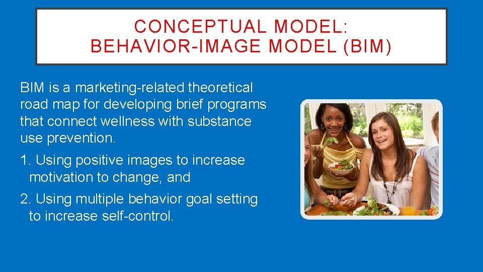 CONCEPTUAL MODEL: BEHAVIOR-IMAGE MODEL (BIM) BIM is a marketing-related theoretical road map for developing
